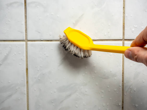 Best Black Mold Removal  in Adelino, NM